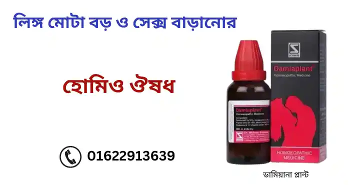 জোর করে চোদাচুদি 